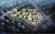 滨江城东新城79号地块